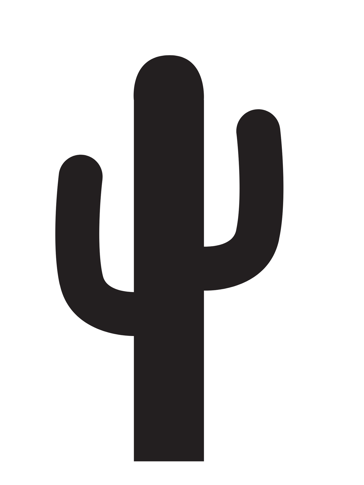 Cactus Pattern