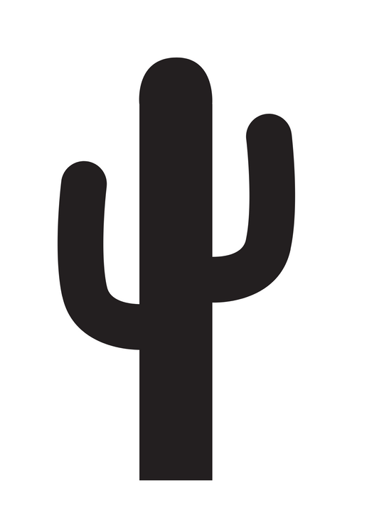 Cactus Pattern