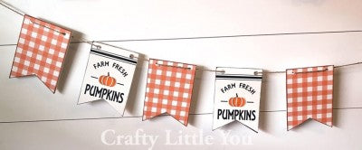 Project Farm Fresh Pumpkin Banner