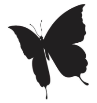 Butterfly Pattern