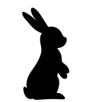 Bunny Pattern