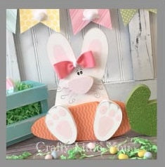 Project Bunny with Carrot